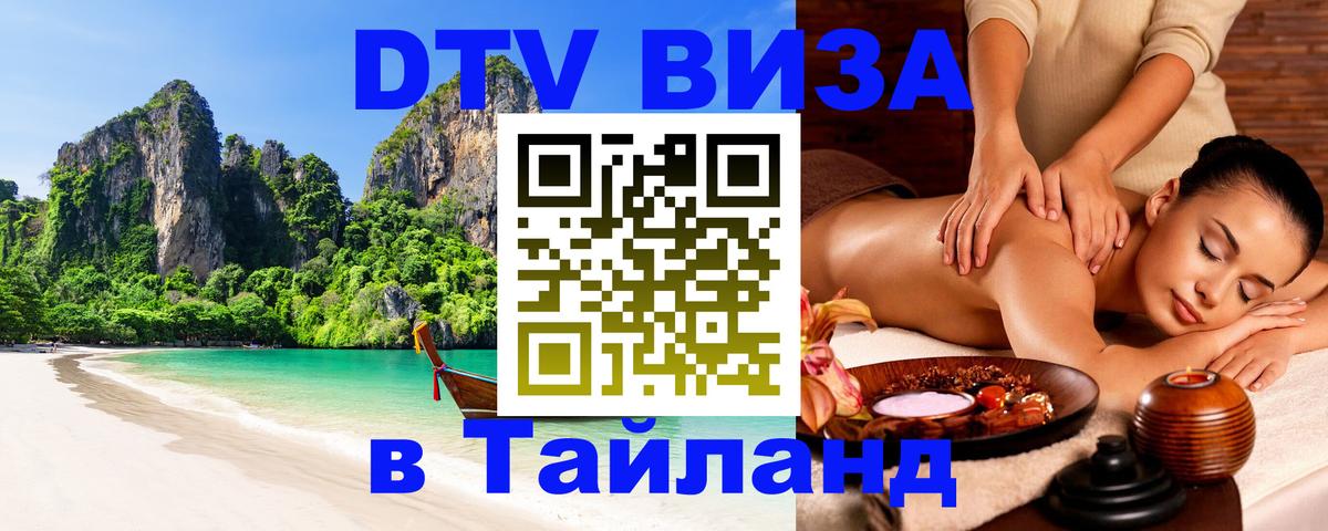 Оформление DTV визы под ключ: стоимость и тарифы, только загранпаспорт - Бердск  18.11.2025 